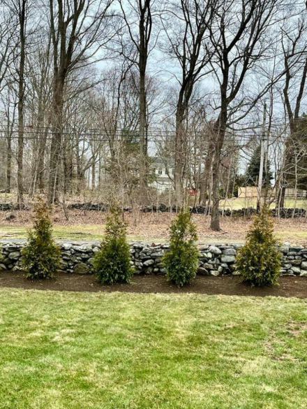 Dark Blue Simple Dark Tech and Gaming Bio-Link Website (3648 x 5472 px) (3024 x 4032 px) (1400 x 987 px) (2)