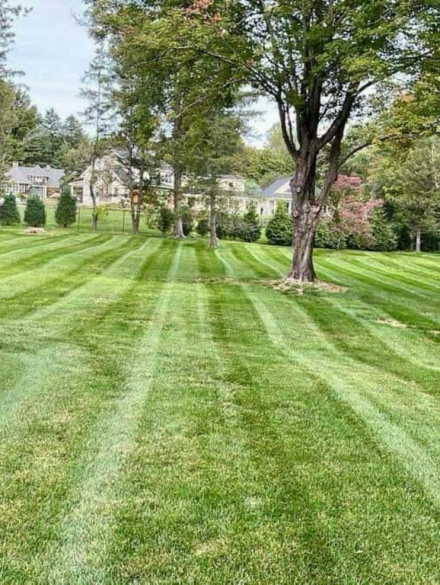 Dark Blue Simple Dark Tech and Gaming Bio-Link Website (3648 x 5472 px) (3024 x 4032 px) (1400 x 987 px) (3)